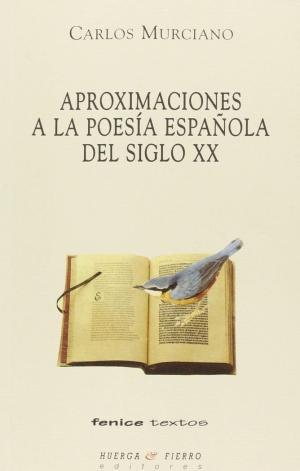 Aproximaciones a la poesía española del siglo xx